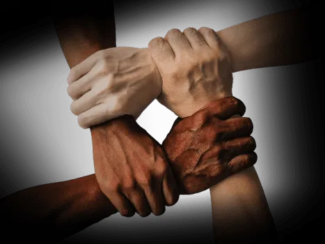 Cooperation2
