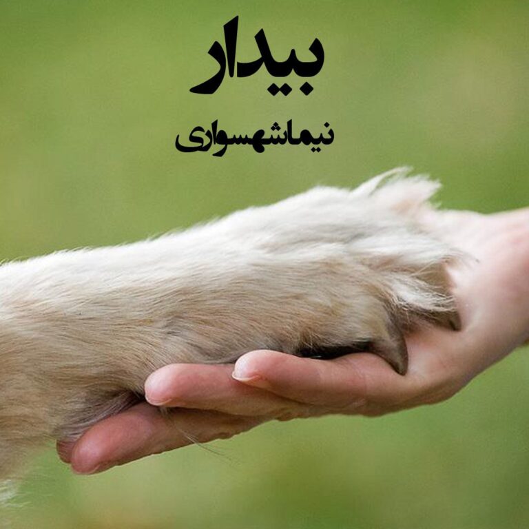 شعر صوتی بیدار