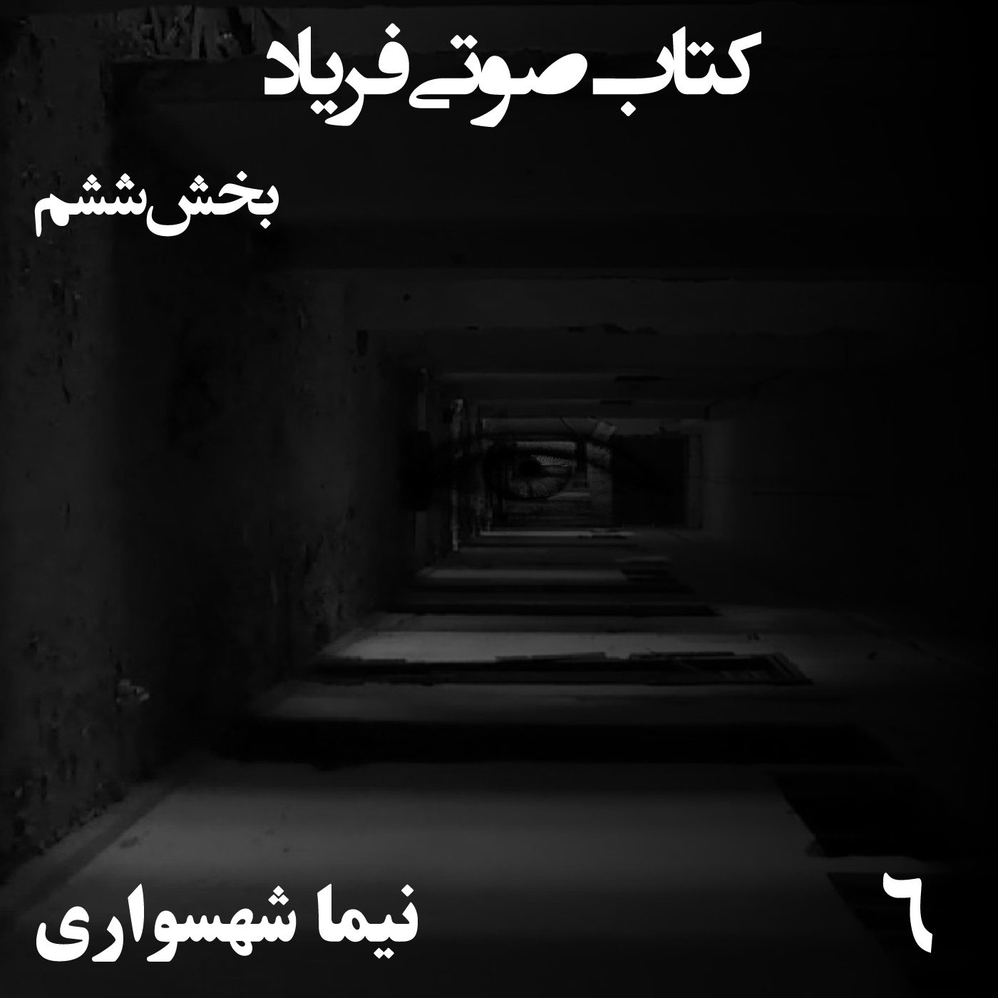 کتاب صوتی فریاد - بخش ششم - اثر نیما شهسواری