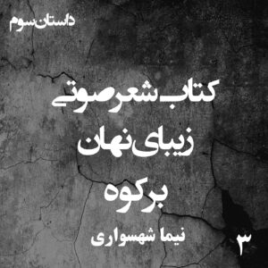 کتاب شعر صوتی زیبای نهان - برکوه - اثر نیما شهسواری