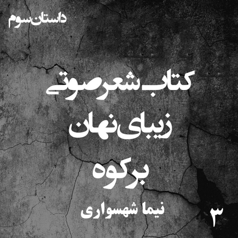 کتاب شعر صوتی زیبای نهان - برکوه - اثر نیما شهسواری