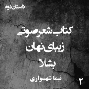 کتاب شعر صوتی زیبای نهان - بشلا - اثر نیما شهسواری