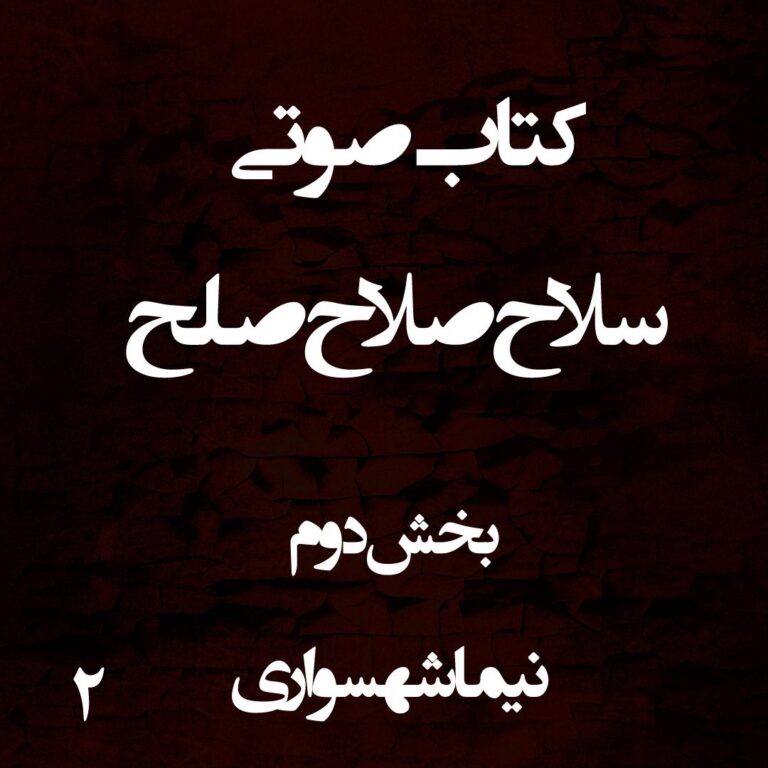 کتاب صوتی سلاح صلاح صلح - بخش دوم - اثر نیما شهسواری