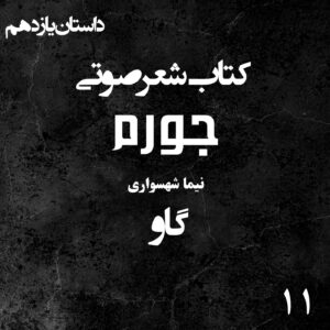 کتاب شعر صوتی جورم - گاو - اثر نیما شهسواری