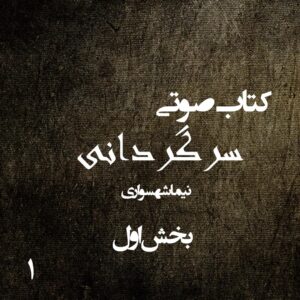 کتاب صوتی سرگردانی - بخش اول - اثر نیما شهسواری