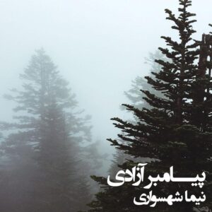 کتاب شعر صوتی طغیان - شعر پیامبر آزادی - اثر نیما شهسواری