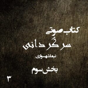 کتاب صوتی سرگردانی - بخش سوم - اثر نیما شهسواری