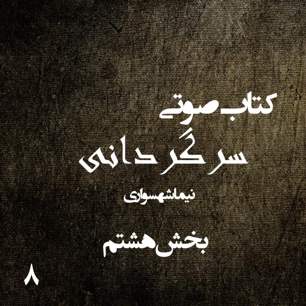 بخش هشتم
