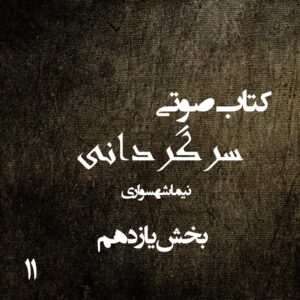 کتاب صوتی سرگردانی - بخش یازدهم - اثر نیما شهسواری