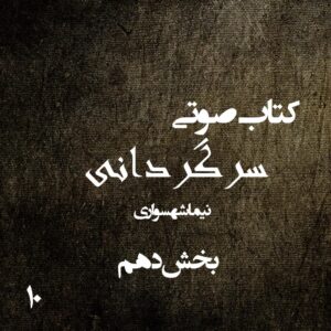 کتاب صوتی سرگردانی - بخش دهم - اثر نیما شهسواری