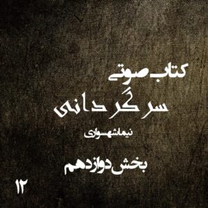 کتاب صوتی سرگردانی - بخش دوازدهم - اثر نیما شهسواری