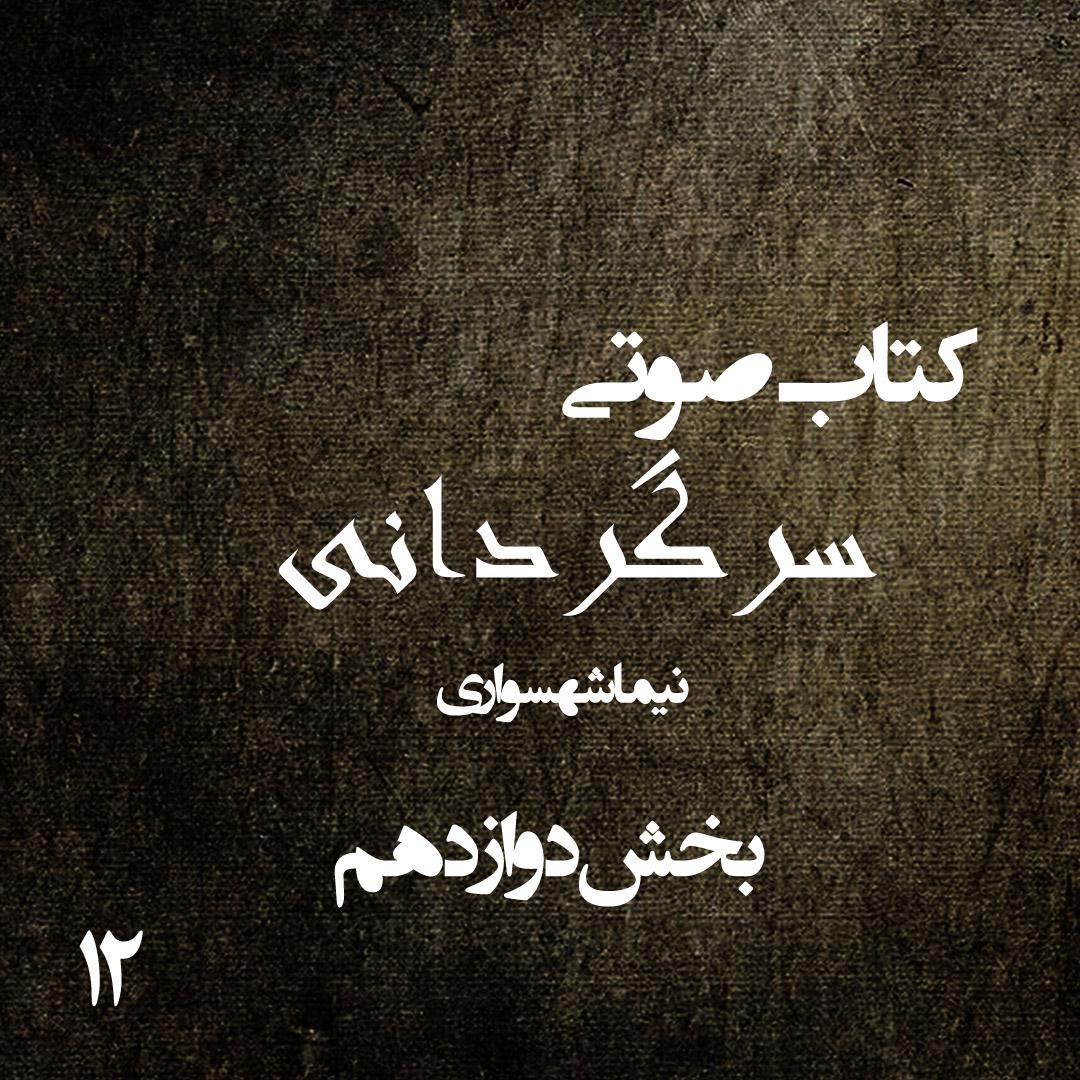 کتاب صوتی سرگردانی - بخش دوازدهم - اثر نیما شهسواری