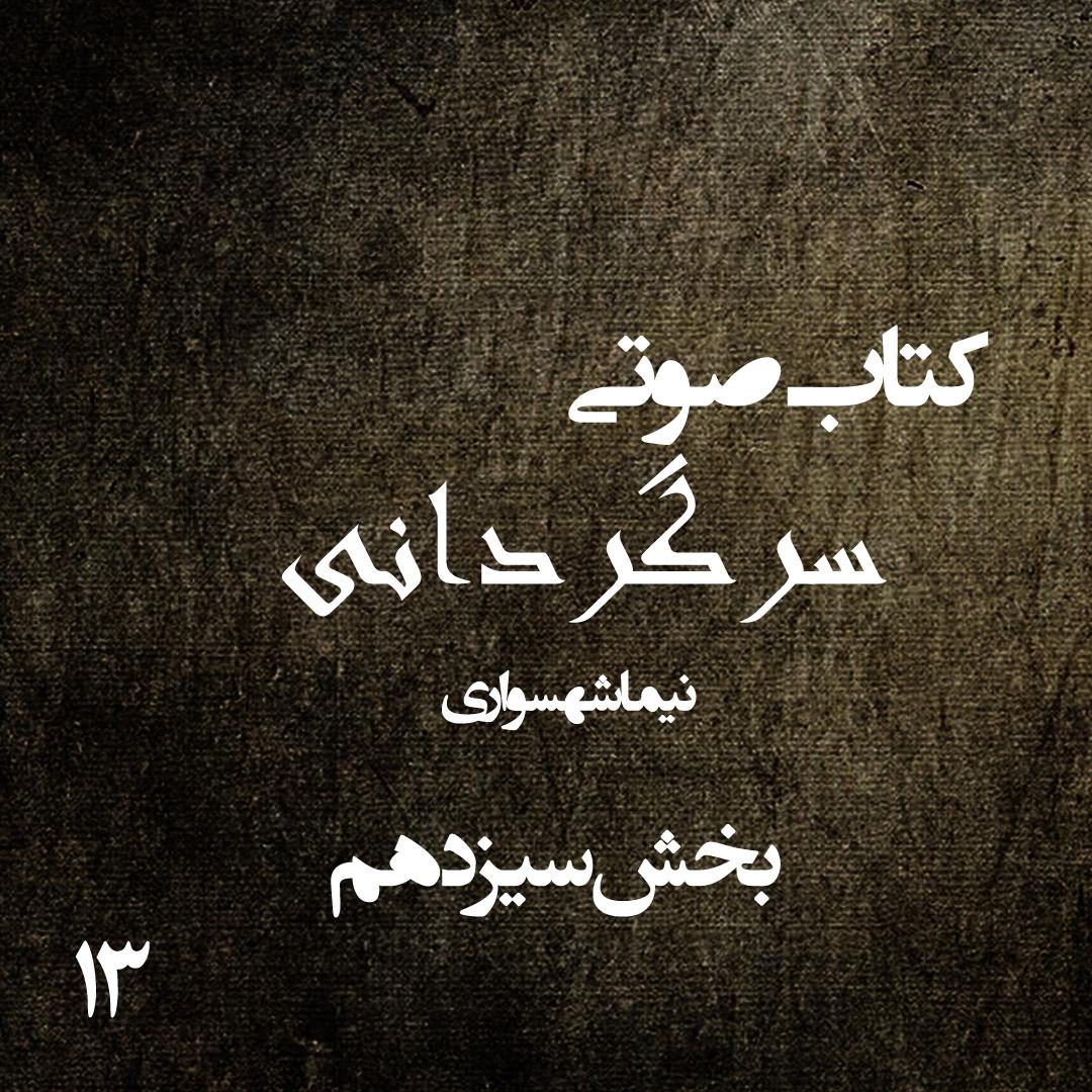 کتاب صوتی سرگردانی - بخش سیزدهم - اثر نیما شهسواری