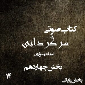 کتاب صوتی سرگردانی - بخش چهاردهم قسمت پایانی - اثر نیما شهسواری