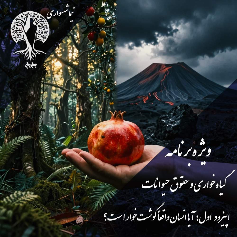 پادکست به نام جان - ویژه برنامه فلسفه گیاهخواری و حقوق حیوانات - اپیزود اول آیا انسان واقعا گوشتخوار است؟ - با نیما شهسواری