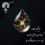 کاور اثر
