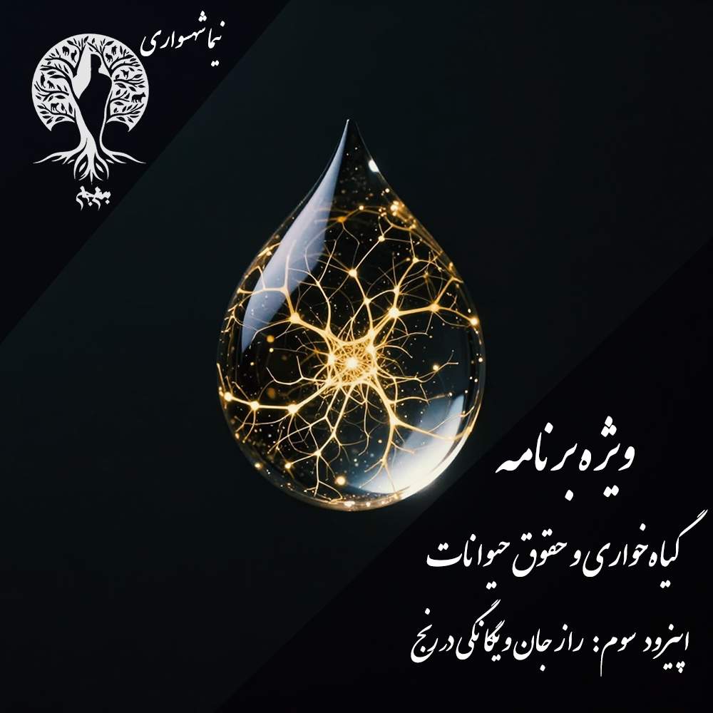 پادکست به نام جان – ویژه برنامه فلسفه گیاهخواری و حقوق حیوانات – اپیزود سوم راز جان و یگانگی در رنج – با نیما شهسواری